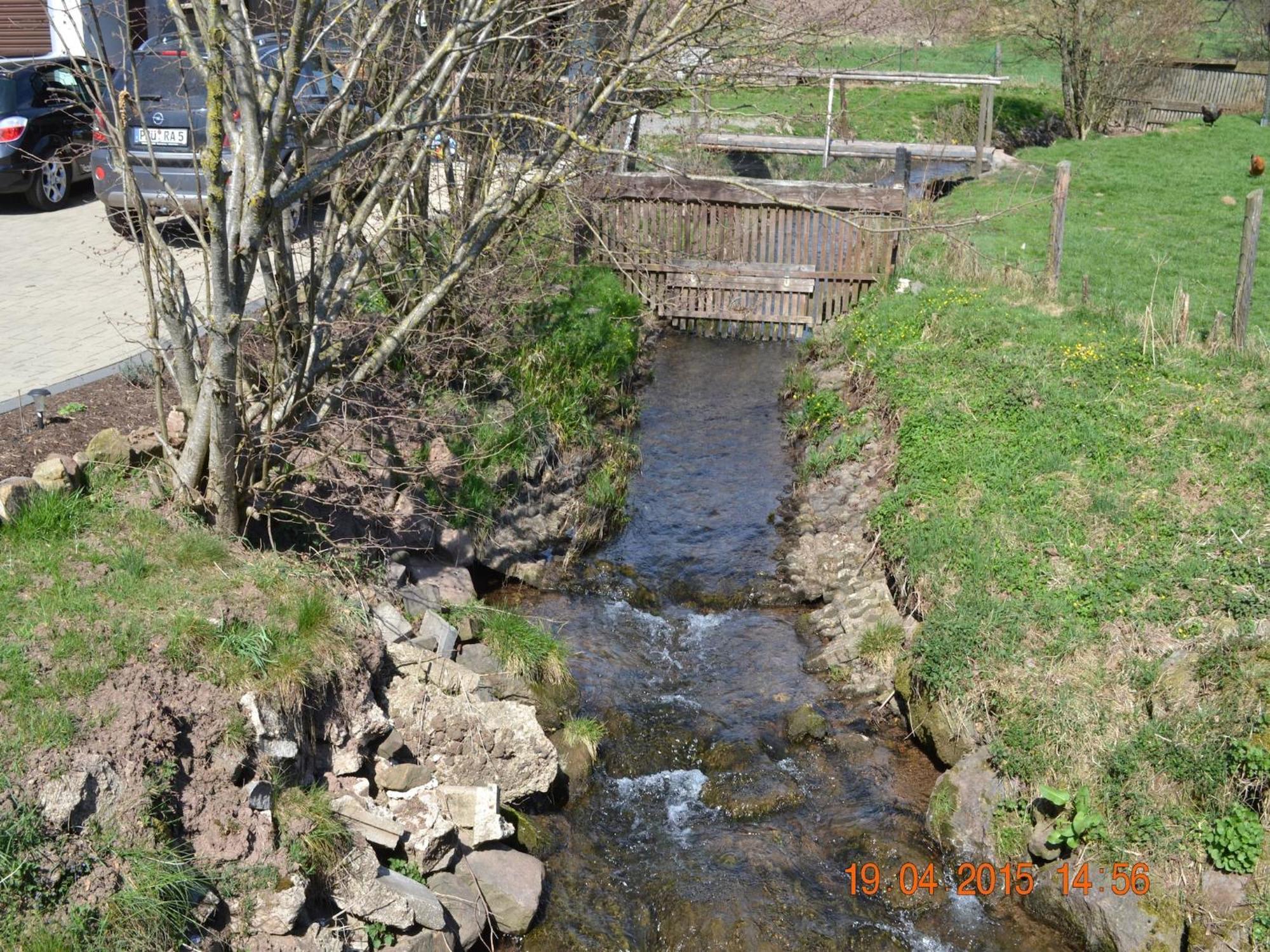 Quiet Apartment Along A Stream In Halenfeld Sellerich Extérieur photo